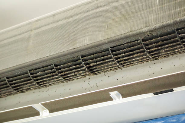 Best Ventilation Cleaning Services  in Herlong, CA