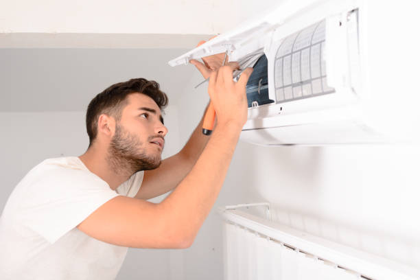 Best Home Air Vent Cleaning  in Herlong, CA